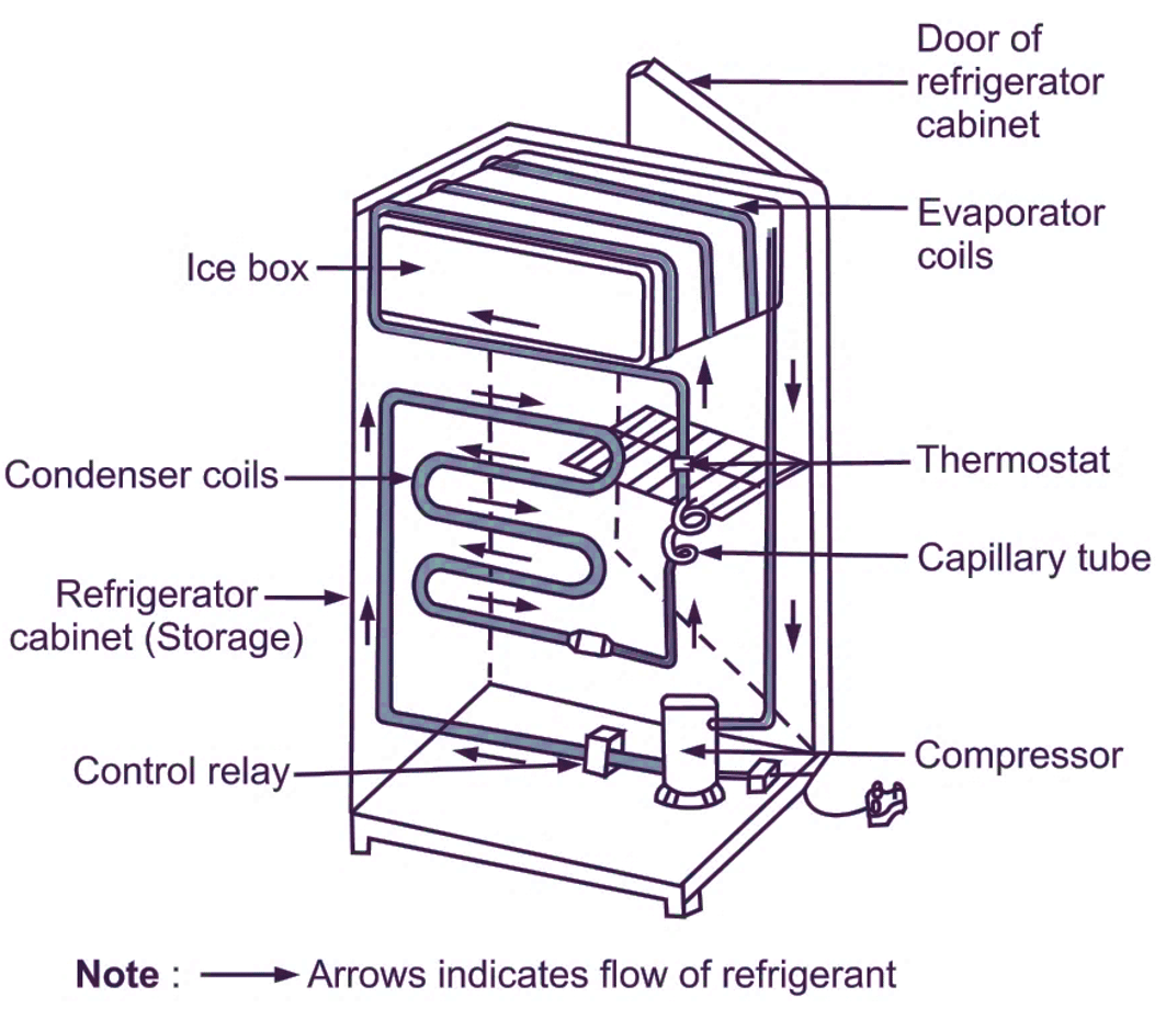 Essential Guide On How To Quiet A Noisy Refrigerator Compressor In