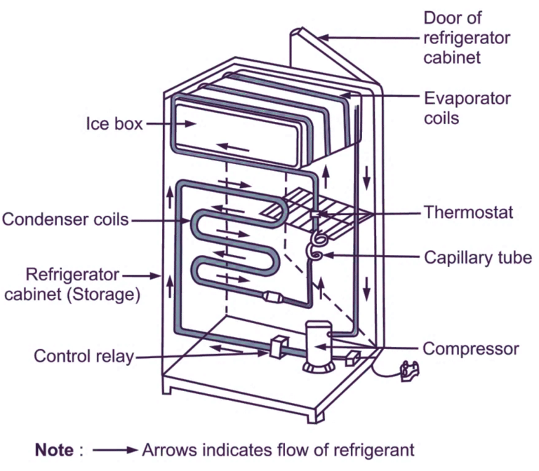 essential-guide-on-how-to-quiet-a-noisy-refrigerator-compressor-in-2023